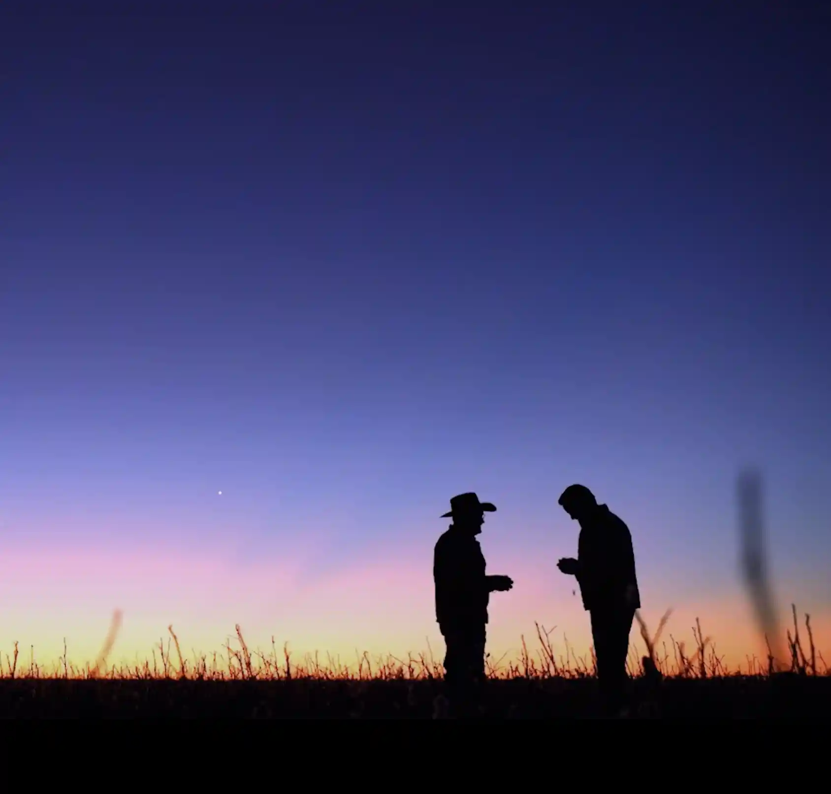 the cotton board: forever cotton